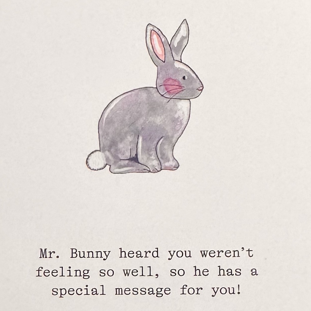 3/$10 Greeting Card from Cards Against Humanity - Bunny Get Well